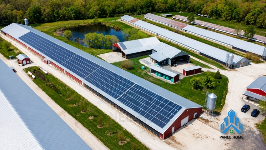 Câu hỏi thường gặp về panel trại chăn nuôi