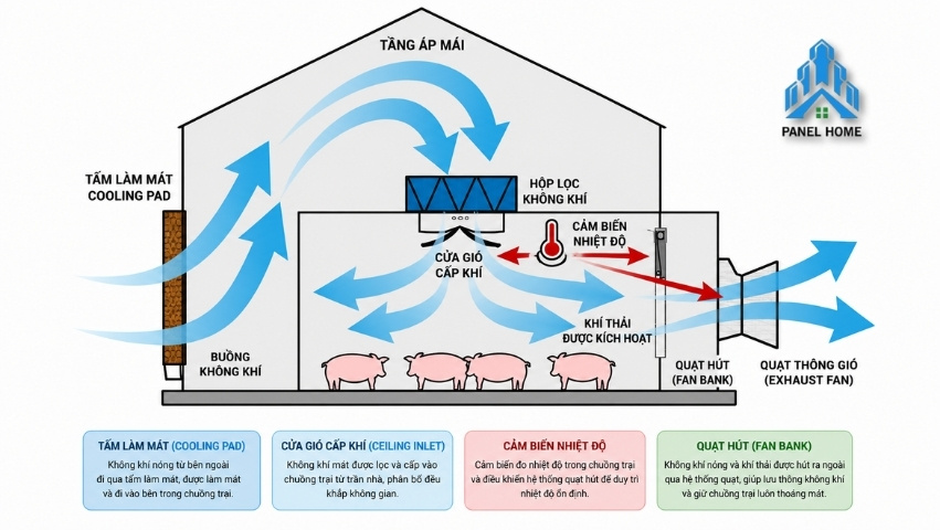 Hệ thống thông gió kết hợp panel giúp tối ưu môi trường chuồng nuôi.